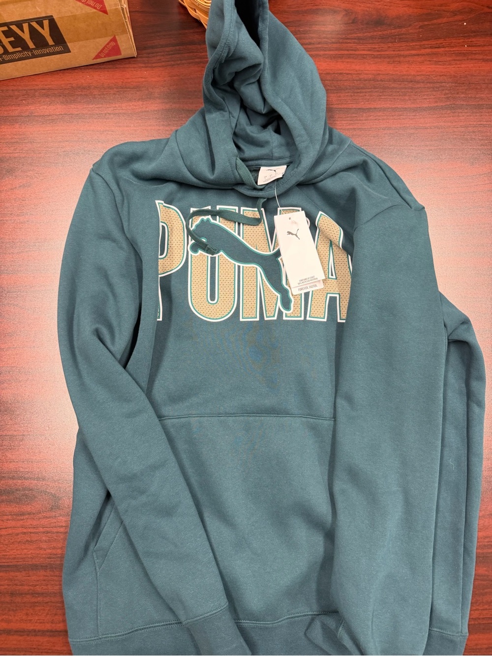 Puma Men's Teal Pullover Hoodie with Contrast Logo